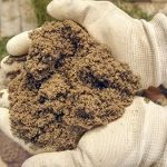 Why Lime Is Not Used In Modern Buildings 150x150