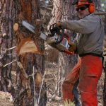 How Often Should A Chainsaw Blade Be Sharpened 150x150